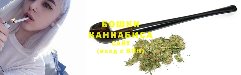 купить наркотик  Лермонтов  Шишки марихуана SATIVA & INDICA 